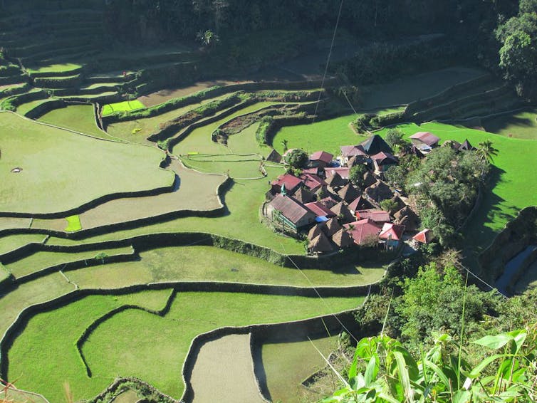 'Emerald Terraces of the Cordillera' surround Bangaan village near Banaue, Ifugao, Philippines