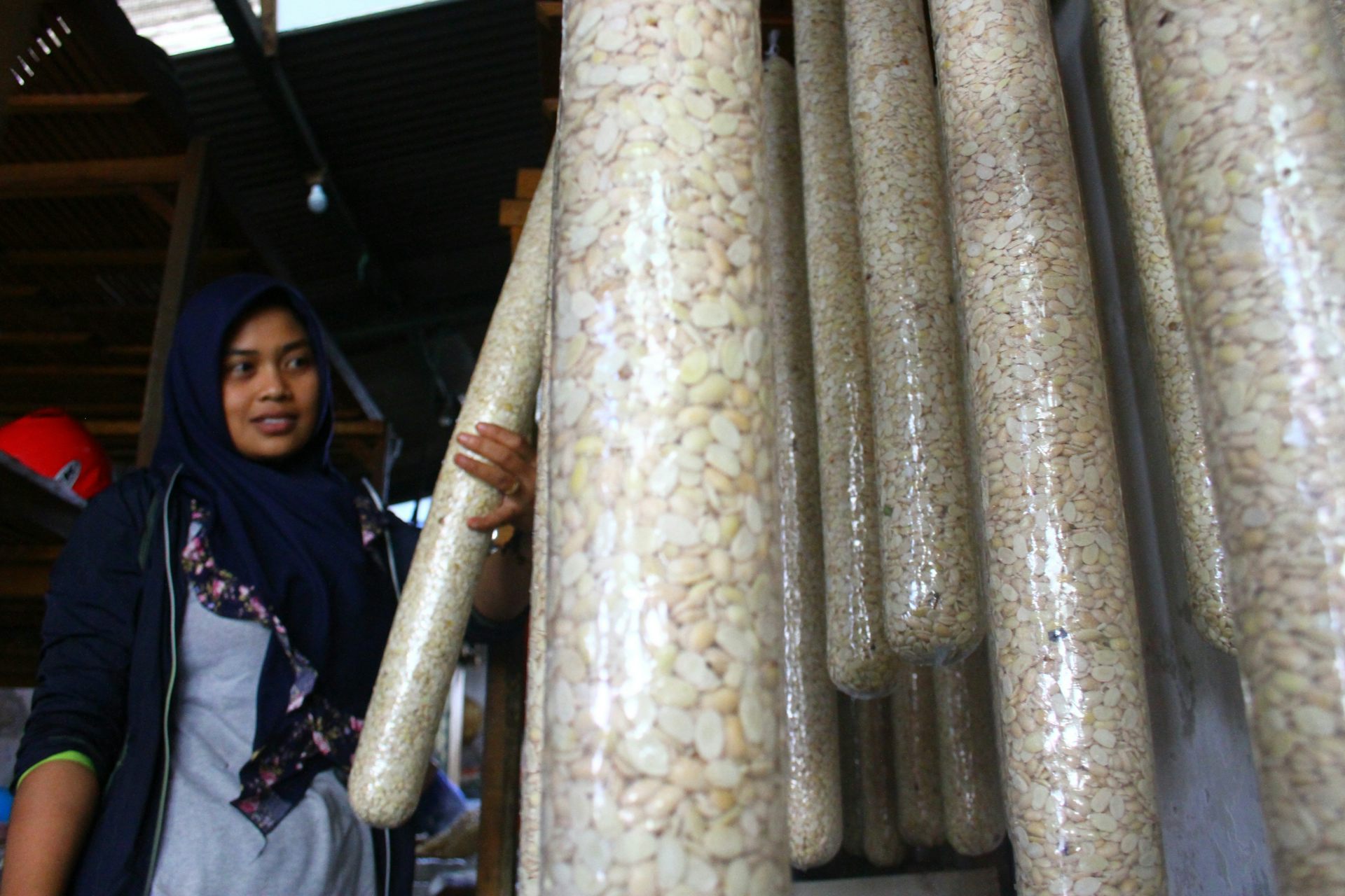 Bagaimana partikel tempe dapat kelabuhi bakteri E.Coli untuk melawan diare