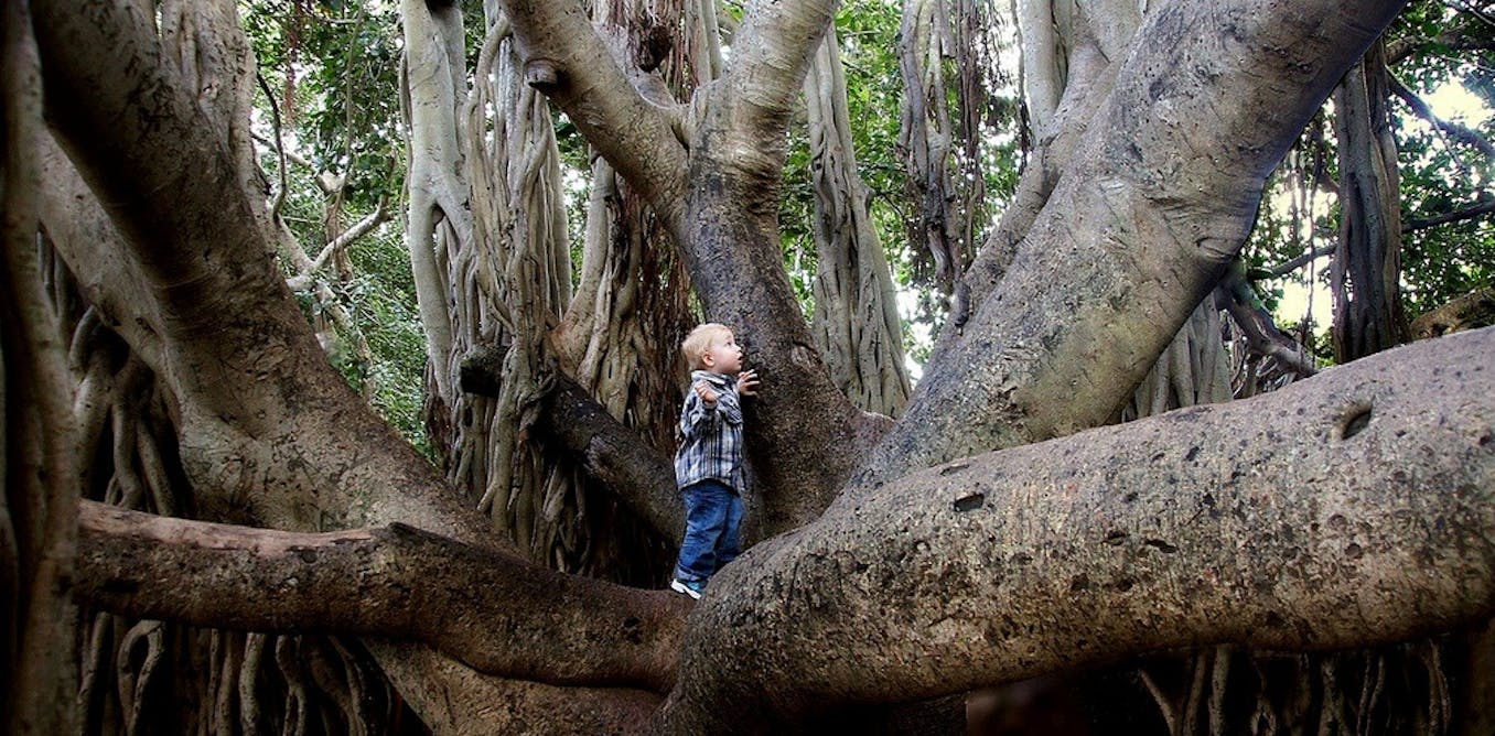 Hug a tree – the evidence shows it really will make you feel better