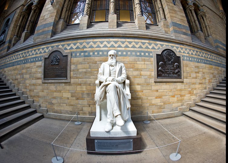 Imagen de una estatua de Charles Darwin en el Museo de Historia Natural de Londres.