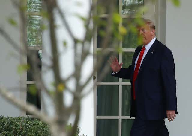 Donald Trump wearing a suit and red tie is partially obscured by a tree.