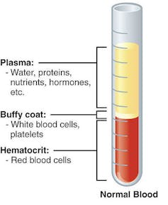 Diagram showing normal blood composition