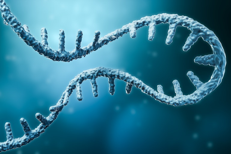 A strand of winding RNA.