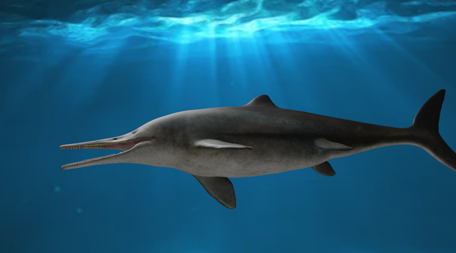 When two ecosystems collided, ichthyosaurs re-evolved the ability