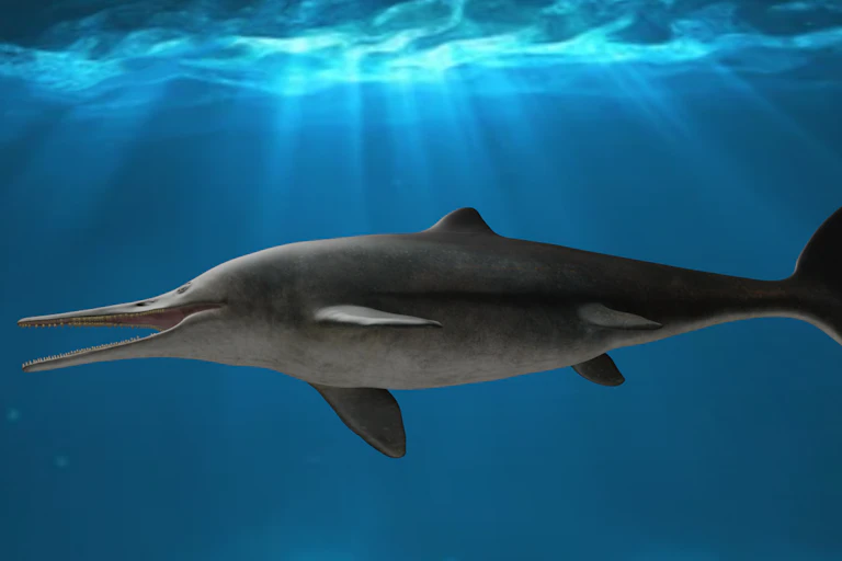 an illustration of an ichtyosaur swimming in blue water with sun rays shining through