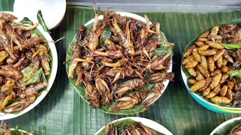 We asked hundreds of Aussies whether they'd eat insects, and most said yes – so what's holding people back?