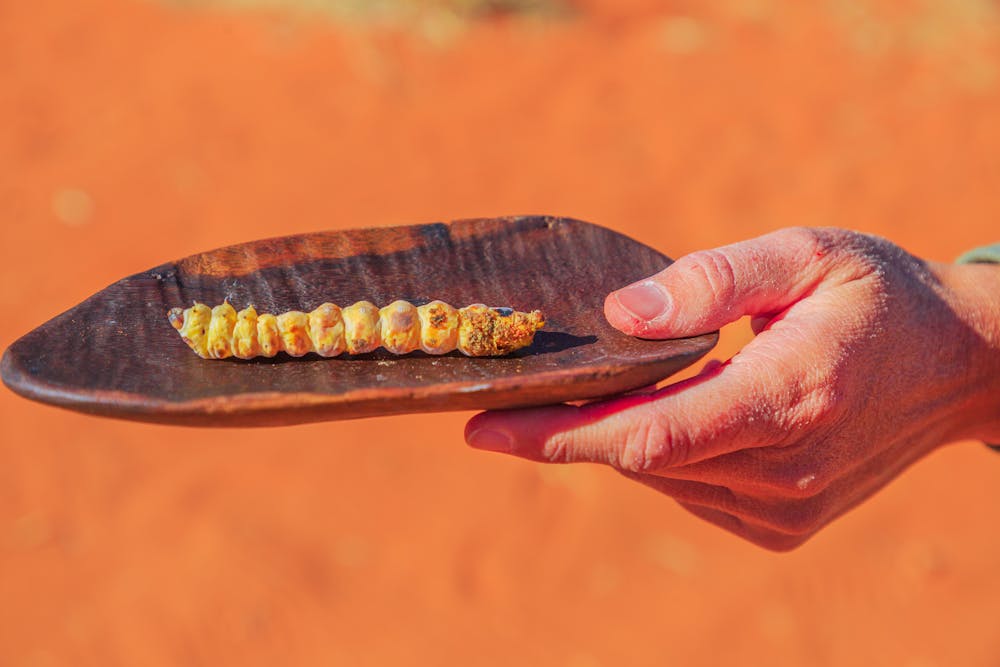 We asked hundreds of Aussies whether they'd eat insects, and most said yes  – so what's holding people back?