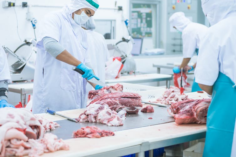 The low temperature and low humidity of abattoirs increase the risk of viral transmission.