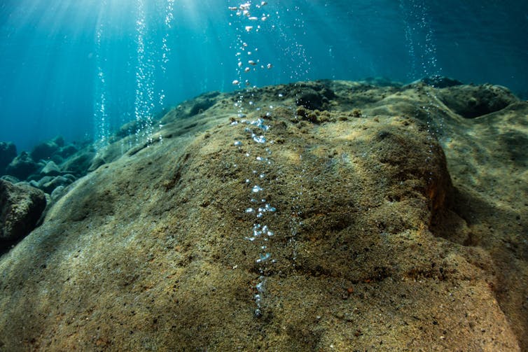 A rocky seafloor with streams of bubbles emanating from it.