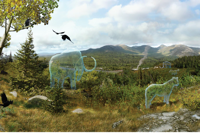 transparent ghosts of mammoths on a meadow-like landscape
