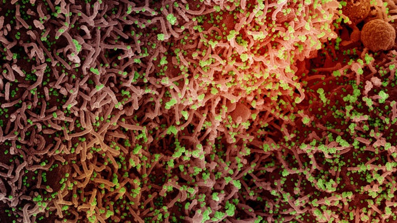 ¿Será ómicron el final de la pandemia? ¿Será ómicron el final de la pandemia?