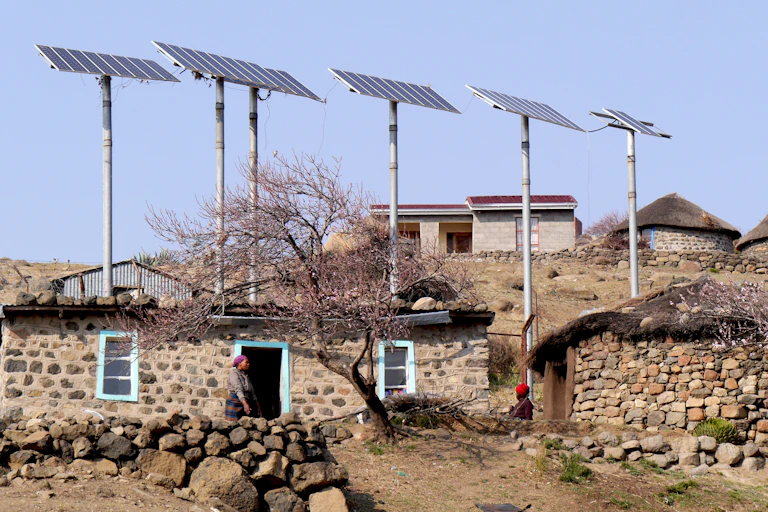 Solar panels on poles above a house