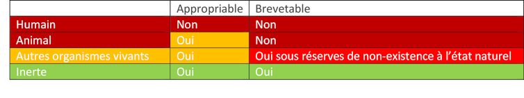 Humain : non appropriable, non brevetable ; Animal : appropriable, non brevetable ; Autres organismes vivants : appropriable, brevetable sous réserve de non-existence à l’état naturel ; Inerte : appropriable, brevetable