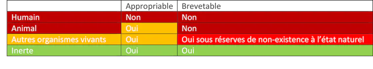 Humain : non appropriable, non brevetable ; Animal : appropriable, non brevetable ; Autres organismes vivants : appropriable, brevetable sous réserve de non-existence à l’état naturel ; Inerte : appropriable, brevetable