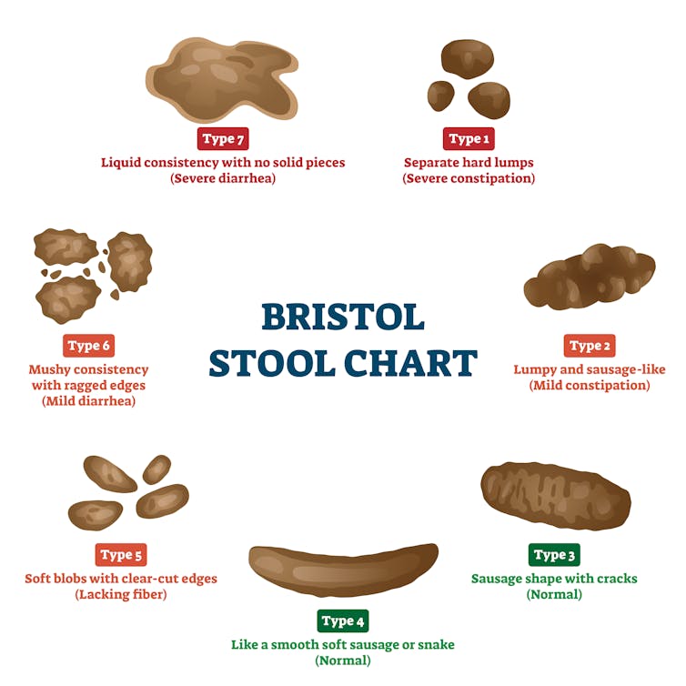 Illustration of the seven categories of poo, ranging from too firm to watery.