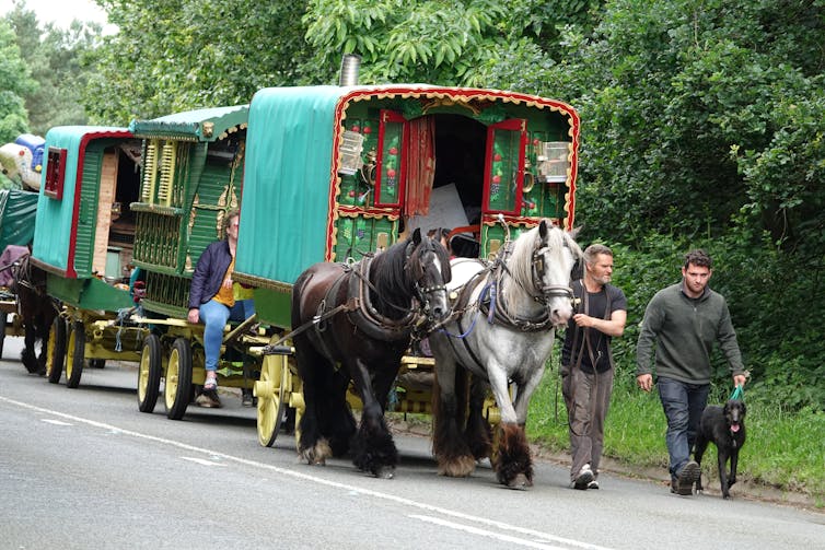Travellers walk alongside horsedrawn painted wooden caravans down a road.