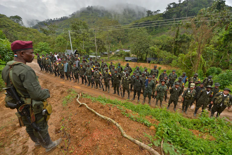 A soldier stands in the countryside, overlooking a group of other soldiers lined up in three rows.