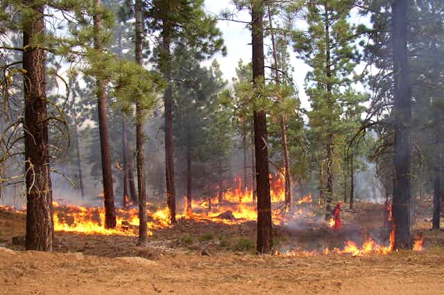 New federal wildfire plan is ambitious – but the Forest Service needs more  money and people to fight the growing risks