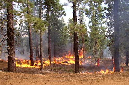 New federal wildfire plan is ambitious – but the Forest Service needs more money and people to fight the growing risks