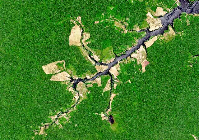 Satellite view of a river surrounded by forest except for giant patches of cleared land.