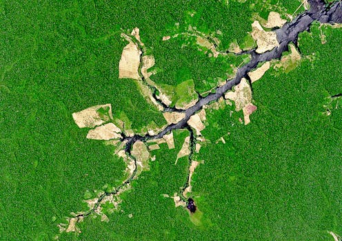 The great Amazon land grab – how Brazil's government is turning public land private, clearing the way for deforestation