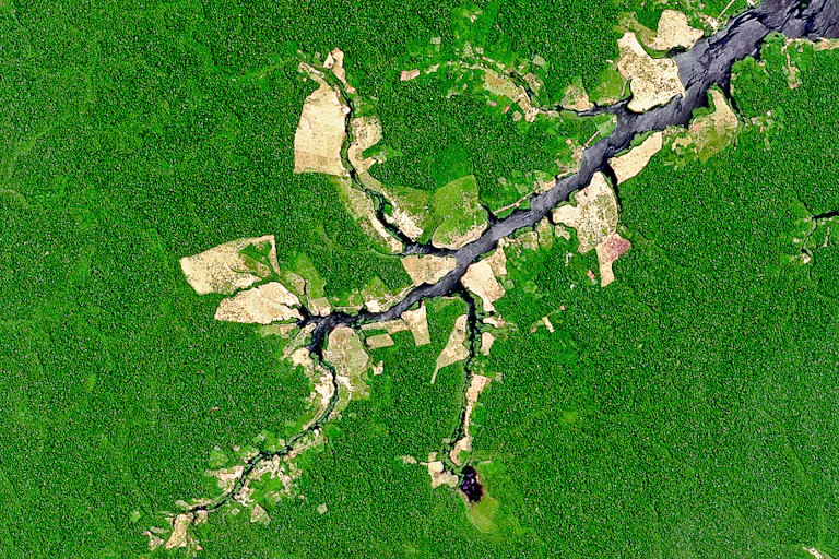 Satellite view of a river surrounded by forest except for giant patches of cleared land.