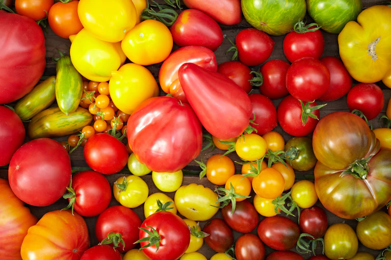 Tomates de diversas variedades.