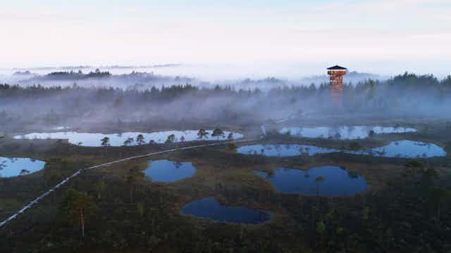 Mist rises over a boggy landscape with forest and a red watchtower in the background.