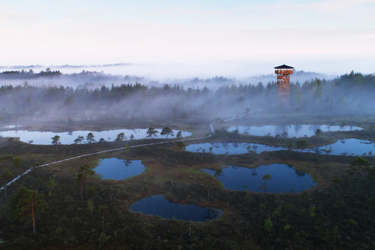 Mist rises over a boggy landscape with forest and a red watchtower in the background.