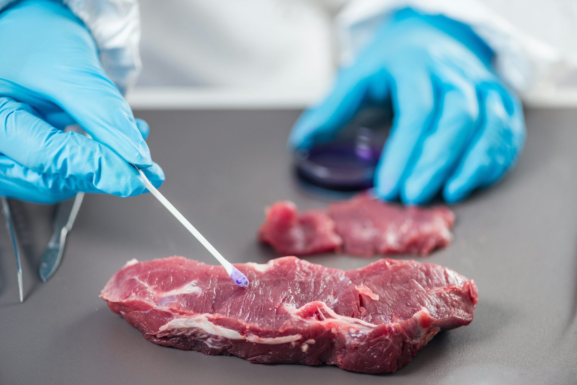 ¿Cómo se garantiza la calidad de la carne?