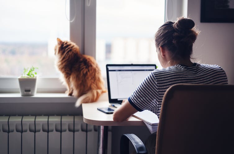 Woman sitting at computer at home, with cat on the window sill.
