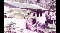 A woman in a colourful dress stands in front of a kitchen house with tropical trees around it.