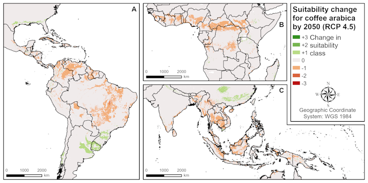 Map of coffee suitability change by 2050