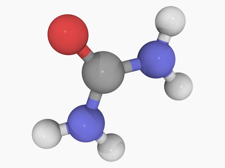 ball and stick model of a chemical structure