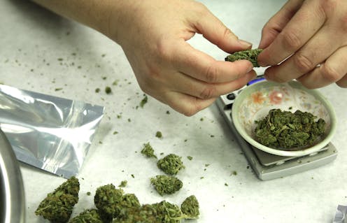 Legalizing recreational pot may have spurred economic activity in first 4 states to do so
