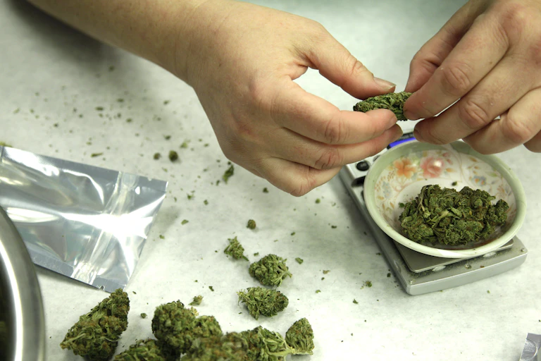 a hand is seen holding a hunk of marijuana as more pot sits on a scale and on the table