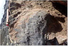 One half of the huge fossil