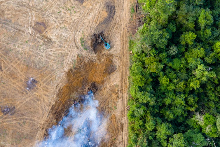 An aerial view of a burning deforested piece of land next to a strip of rainforest