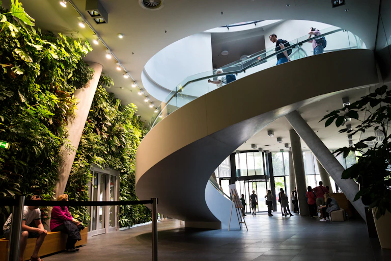 The atrium of a building with a green wall planted with ferns and a wide spiral staircase in the centre.