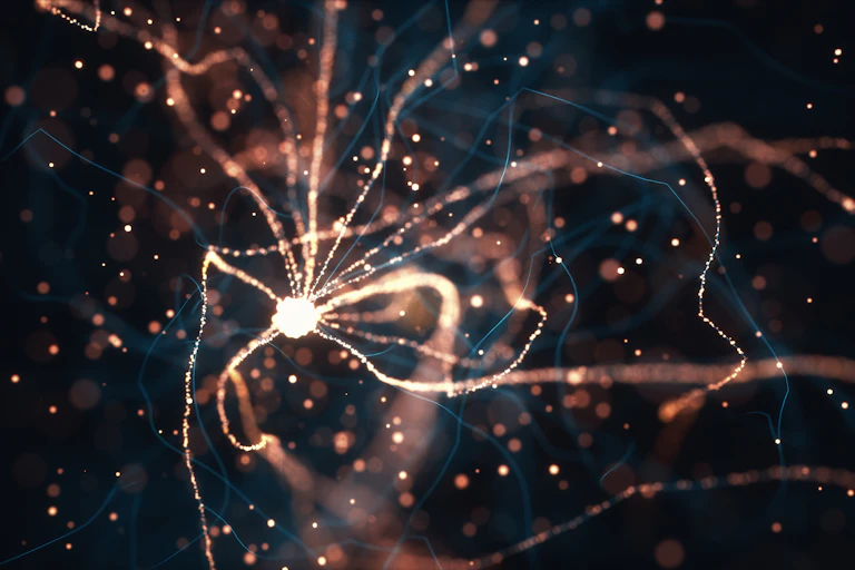 Illustration of nerve cells with long white tendrils extending from a circular cell body