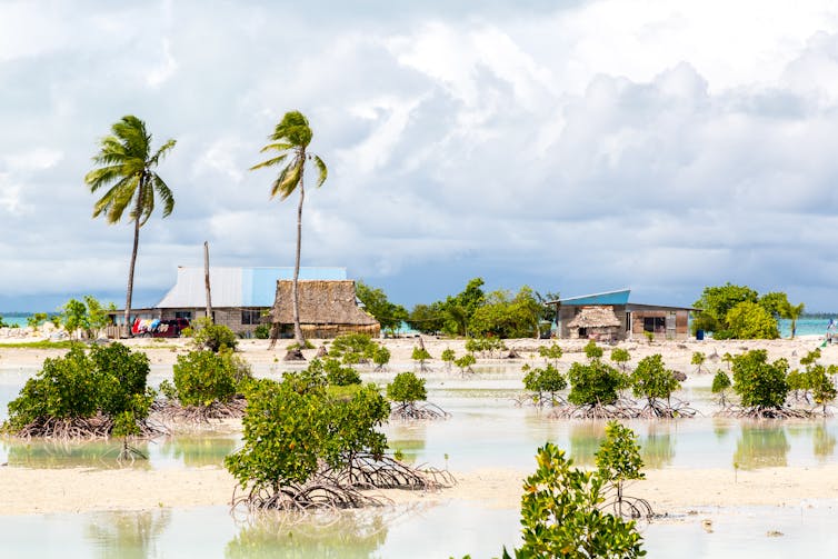 A village on a Micronesian atoll.