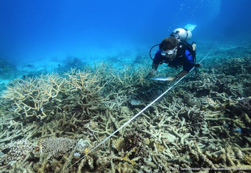 The $1 billion Great Barrier Reef funding is nonsensical. Australians, and their natural wonder, deserve so much better