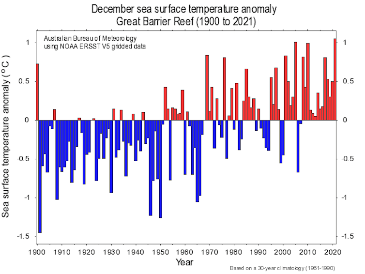 Graph showing ocean temperatures on the reef since 1900