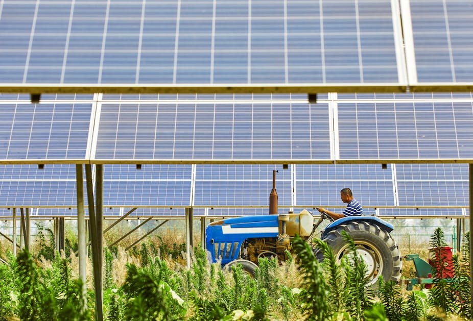 Agrivoltaïsme : une filière qui doit tenir ses promesses