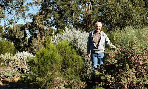 the hidden grey army quietly advancing species discovery in Australia