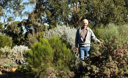 'Time is their secret weapon': the hidden grey army quietly advancing species discovery in Australia