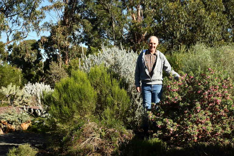 Russell Wait in his Eremophila garden