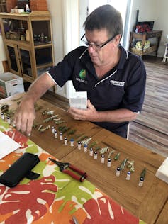 man sits at table sorting specimens