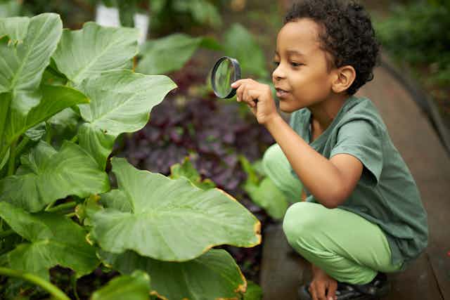 Little boy looking at plant with magnifying glass