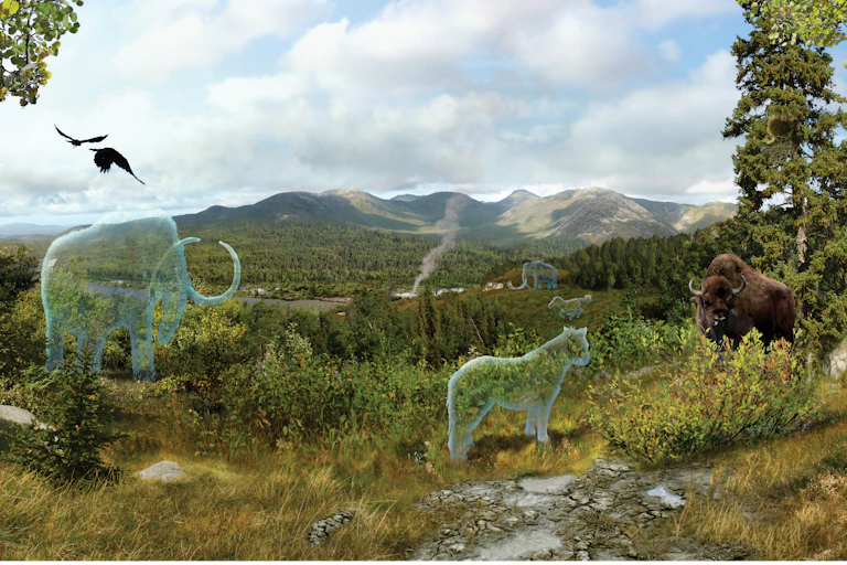 des fantômes transparents de mammouths dans un paysage de prairie.